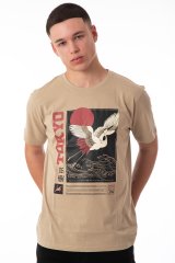 CRANES